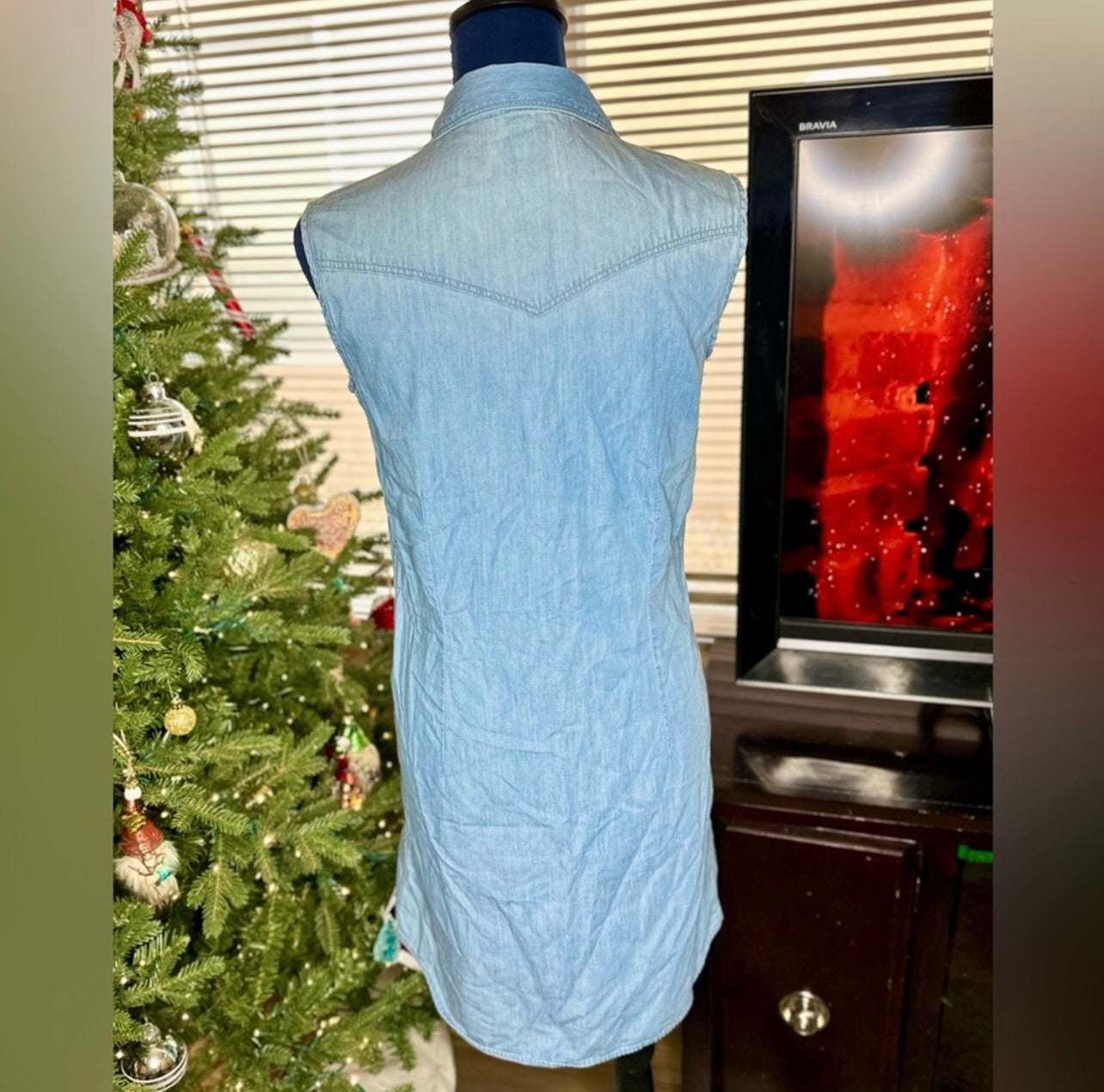 Overland Denim Snap Up Front Sleeveless Shirt Dress