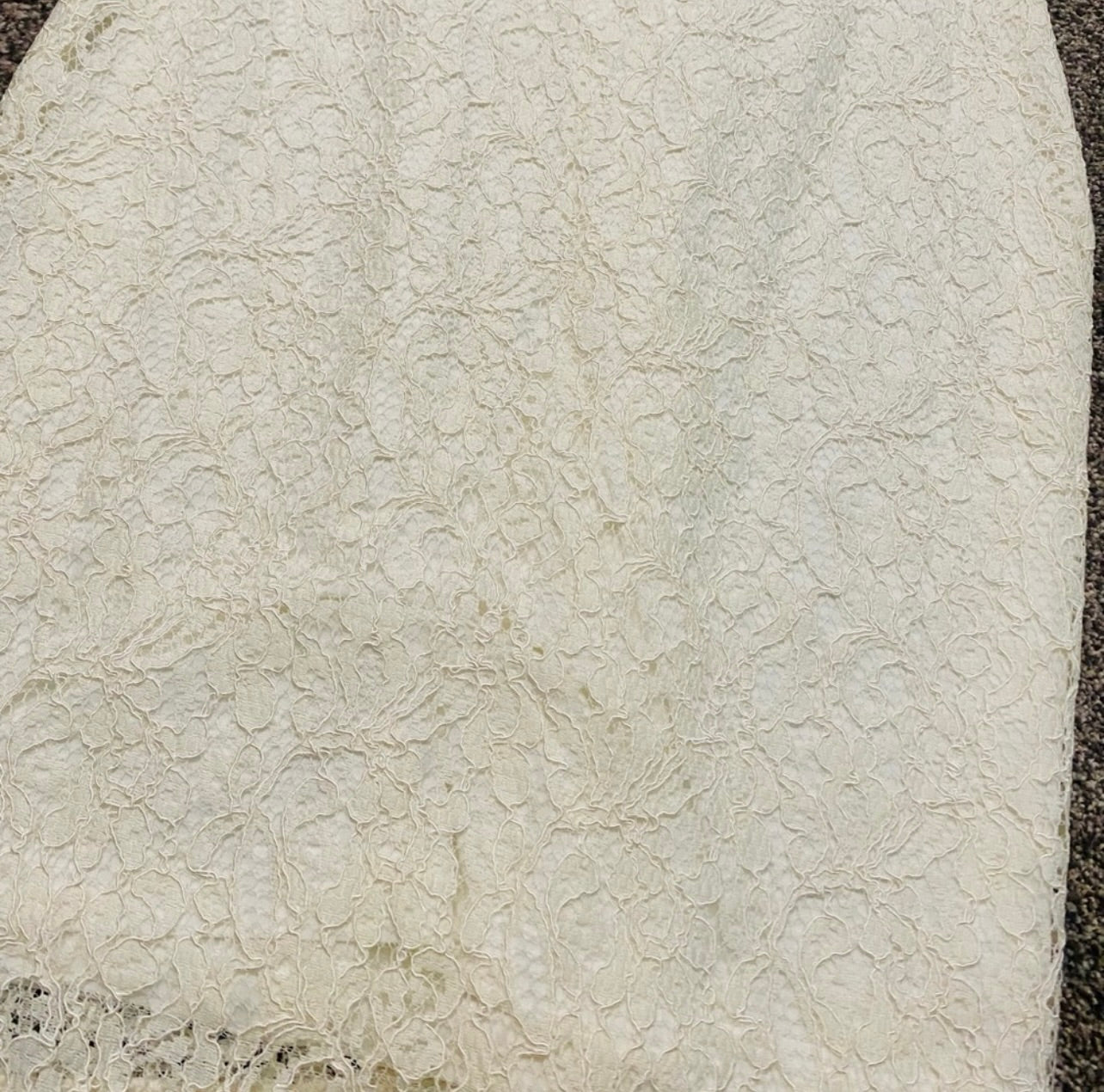 Cache Womens Ivory Floral Lace Sleeveless Sheath Dress