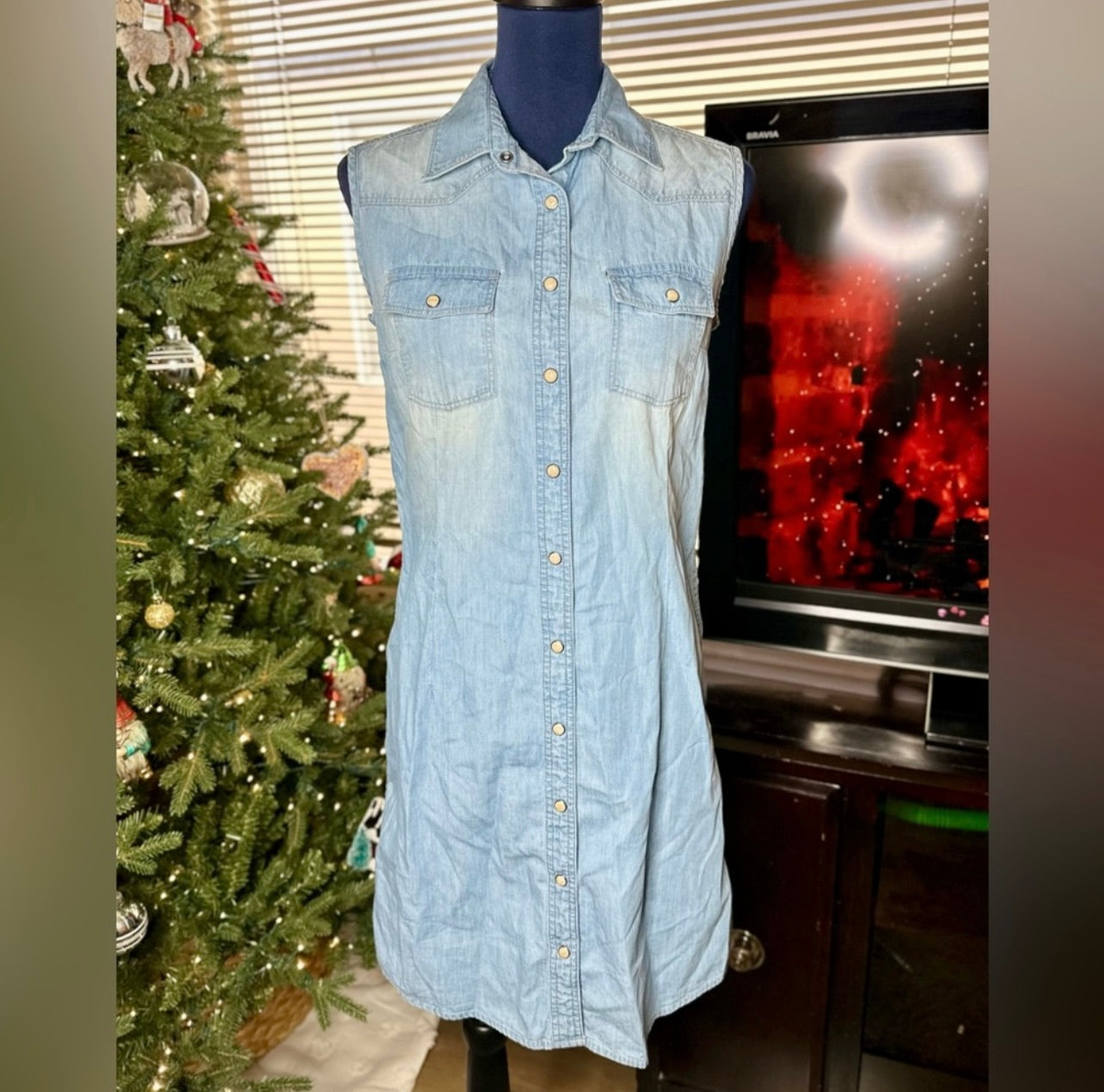 Overland Denim Snap Up Front Sleeveless Shirt Dress