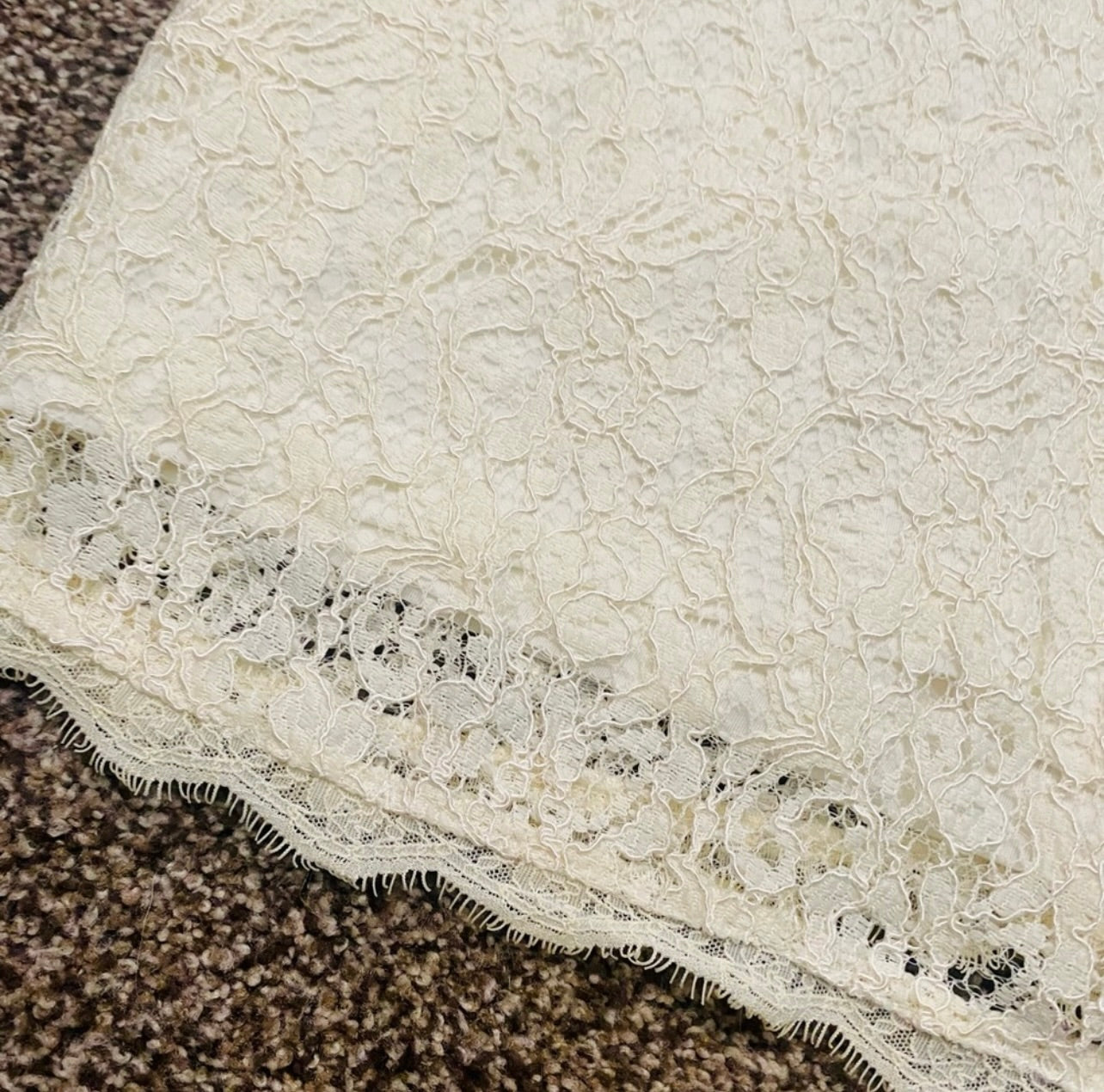 Cache Womens Ivory Floral Lace Sleeveless Sheath Dress